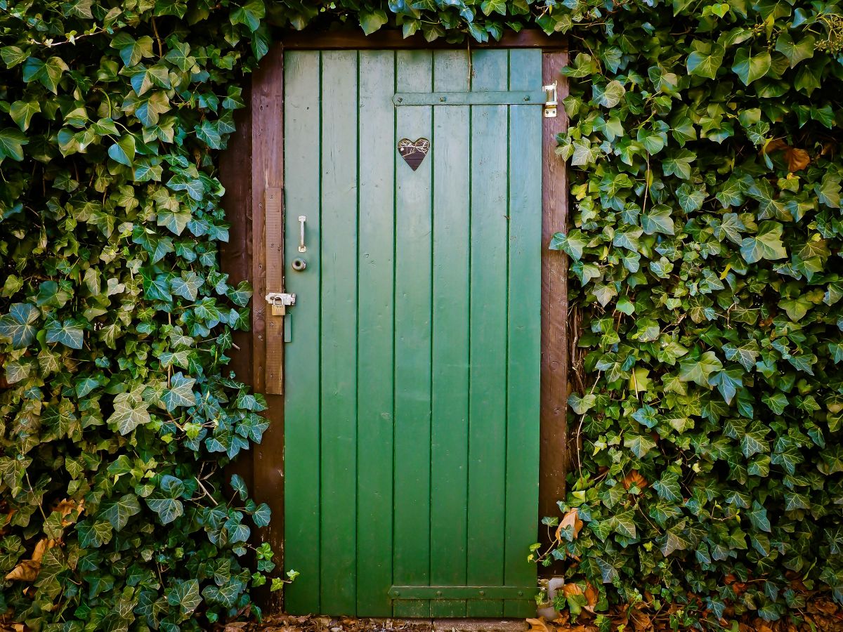¿Qué hacer si mi casero entra sin permiso?